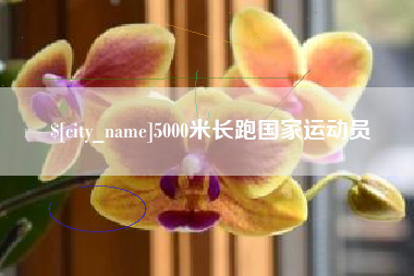 七台河5000米长跑国家运动员