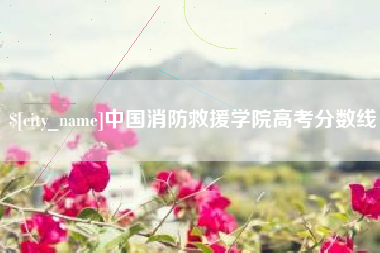 七台河中国消防救援学院高考分数线