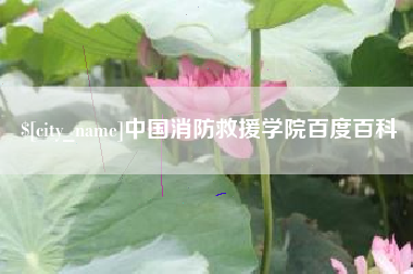 七台河中国消防救援学院百度百科