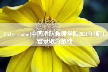 七台河中国消防救援学院2021年浙江省录取分数线