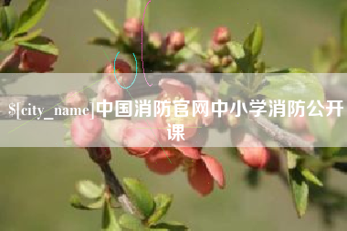七台河中国消防官网中小学消防公开课