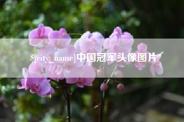 七台河中国冠军头像图片