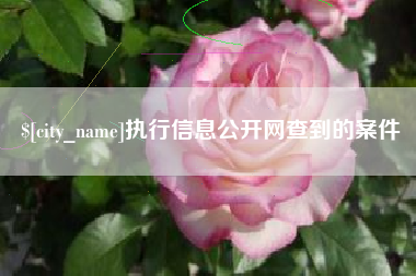 七台河执行信息公开网查到的案件