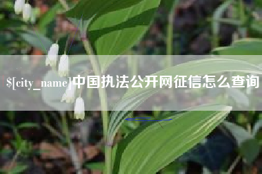 七台河中国执法公开网征信怎么查询