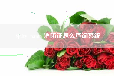 七台河消防证怎么查询系统