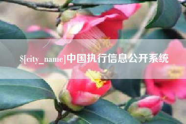七台河中国执行信息公开系统