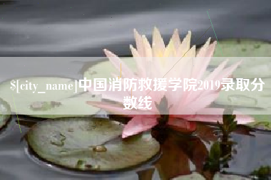 七台河中国消防救援学院2019录取分数线