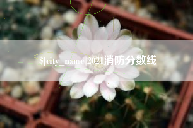 七台河2021消防分数线