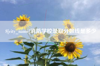 七台河消防学校录取分数线是多少