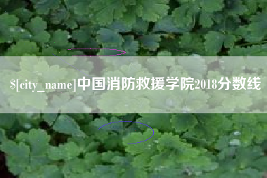 七台河中国消防救援学院2018分数线
