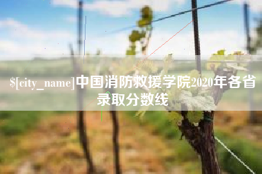 七台河中国消防救援学院2020年各省录取分数线