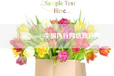 七台河中国执行网信息官网