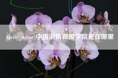 七台河中国消防救援学院是在哪里