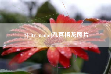 七台河九宫格龙图片