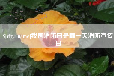 七台河我国消防日是哪一天消防宣传日