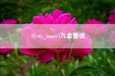 七台河九金是谁