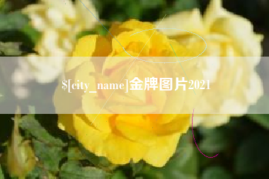 七台河金牌图片2021