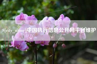 七台河中国执行信息公开网平台维护