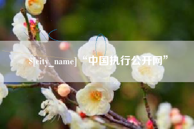 七台河“中国执行公开网”