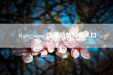 七台河国家消防报名入口