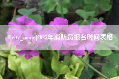 七台河2025年消防员报名时间表格
