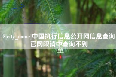 七台河中国执行信息公开网信息查询官网限消中查询不到