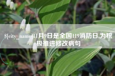 七台河11月9日是全国119消防日,为积极推进修改病句