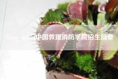 七台河中国救援消防学院招生简章