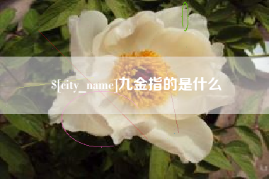 七台河九金指的是什么