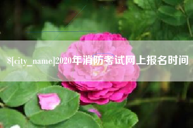 七台河2020年消防考试网上报名时间