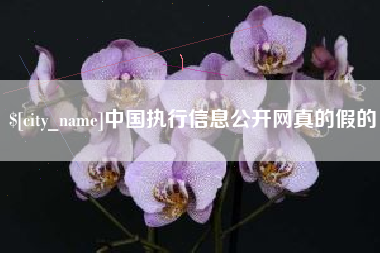 七台河中国执行信息公开网真的假的