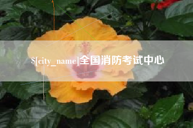 七台河全国消防考试中心
