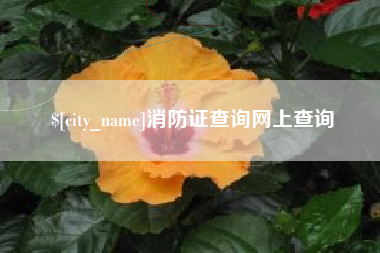 七台河消防证查询网上查询