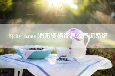 七台河消防资格证怎么查询系统