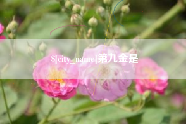 七台河第九金是