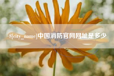 七台河中国消防官网网址是多少