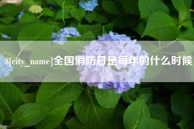 七台河全国消防日是每年的什么时候