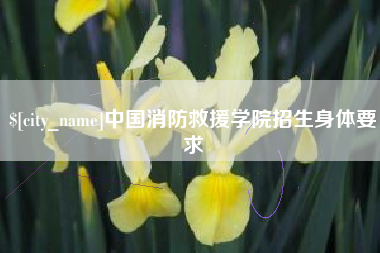 七台河中国消防救援学院招生身体要求