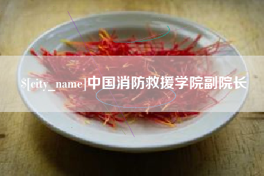 七台河中国消防救援学院副院长