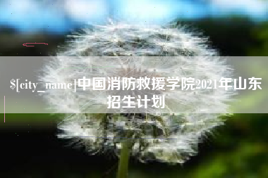 七台河中国消防救援学院2021年山东招生计划