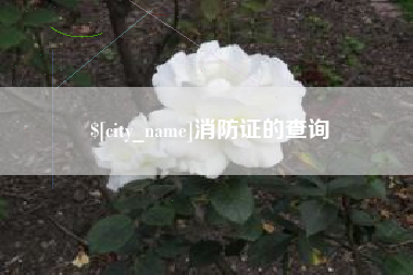 七台河消防证的查询