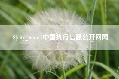七台河中国执行信息公开网网