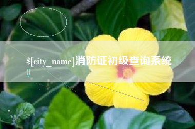 七台河消防证初级查询系统