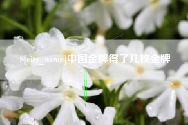 七台河中国金牌得了几枚金牌