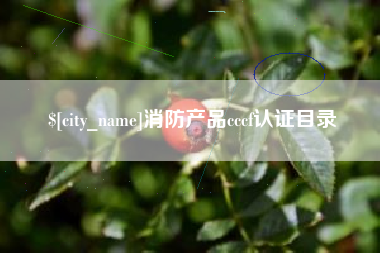七台河消防产品cccf认证目录