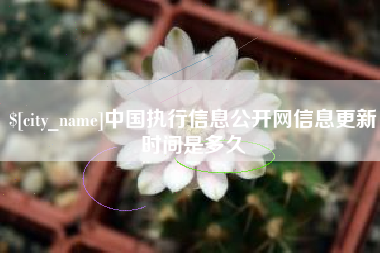 七台河中国执行信息公开网信息更新时间是多久