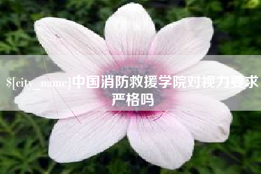 七台河中国消防救援学院对视力要求严格吗