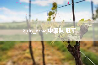七台河中国队 冠军
