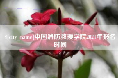 七台河中国消防救援学院2021年报名时间