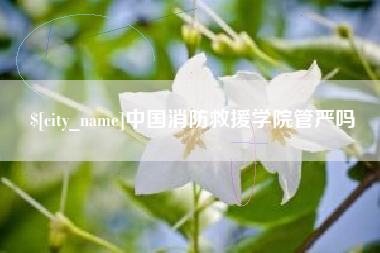 七台河中国消防救援学院管严吗